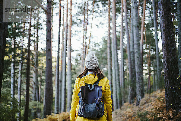 Frau in gelbem Regenmantel spaziert im Wald im Herbst