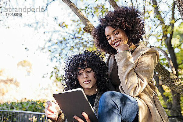 Junge Frau zeigt einem lächelnden Freund  der mit der Hand am Kinn im Park sitzt  ein digitales Tablet
