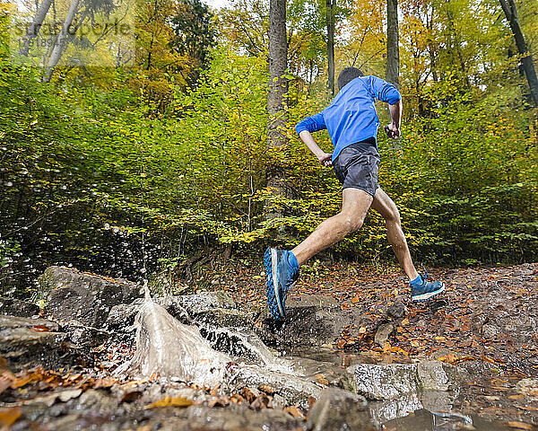 Männlicher Athlet beim Trailrunning im Herbstwald am Kappelberg  Deutschland