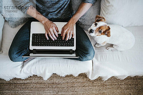 Mann arbeitet an seinem Laptop  während er mit seinem Hund auf dem Sofa zu Hause sitzt