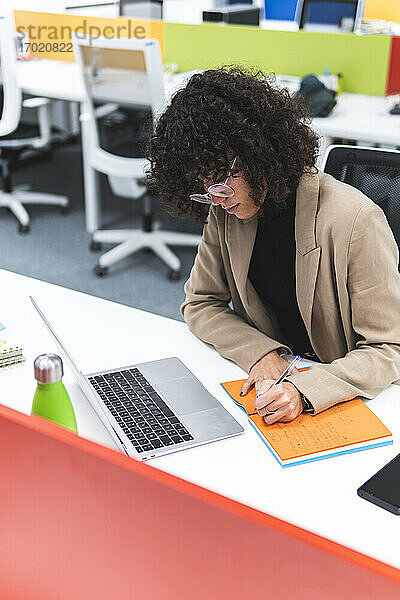 Junge Geschäftsfrau mit Laptop  die in ihr Tagebuch schreibt  während sie am Schreibtisch im Büro arbeitet