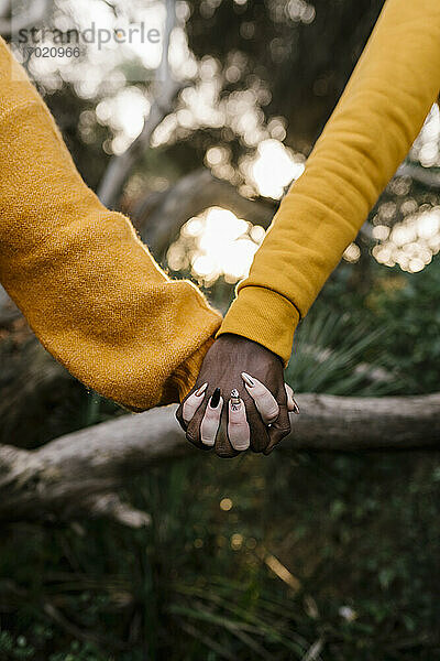 Nahaufnahme eines händchenhaltenden Paares im Wald
