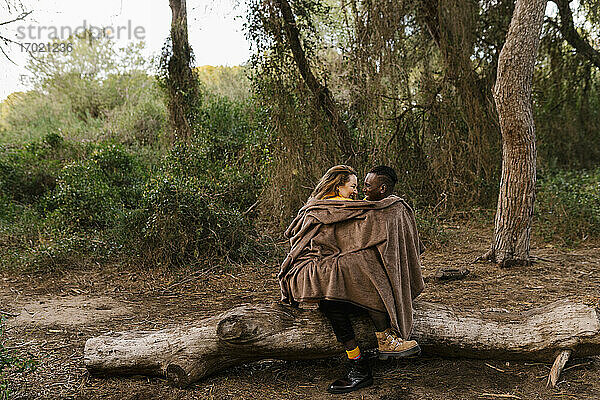 In eine Decke eingewickeltes Paar sitzt von Angesicht zu Angesicht auf einem umgestürzten Baum im Wald