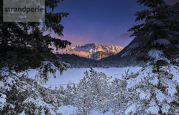 Mit Schnee bedeckte Bäume und Berge bei Sonnenuntergang