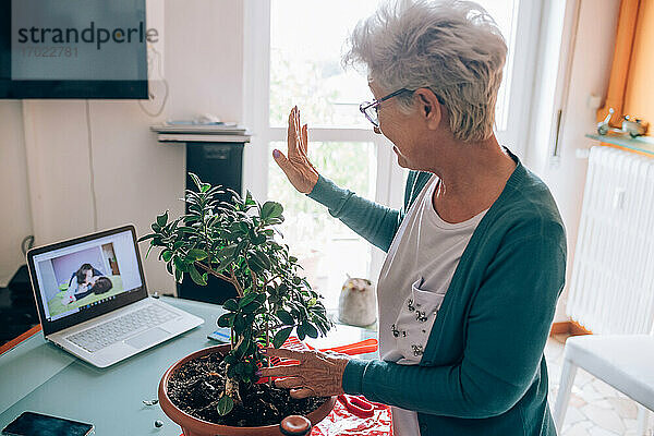 Frau telefoniert per Video  während sie einen Bonsai pflegt