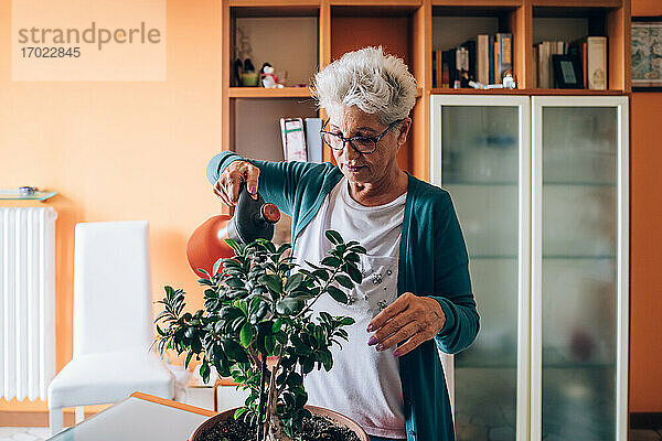 Frau pflegt Bonsaibaum