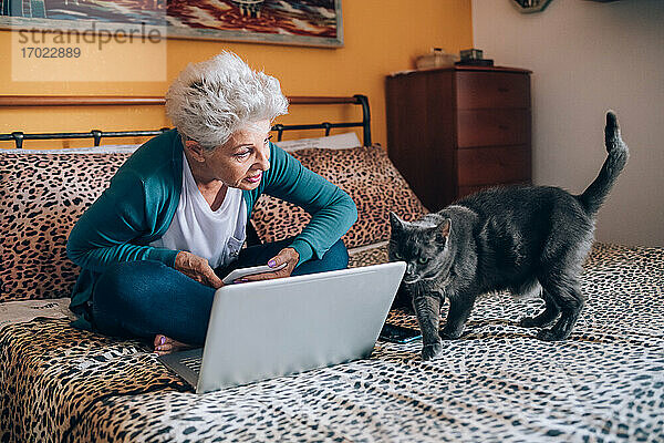 Frau auf Bett mit Laptop und Hauskatze