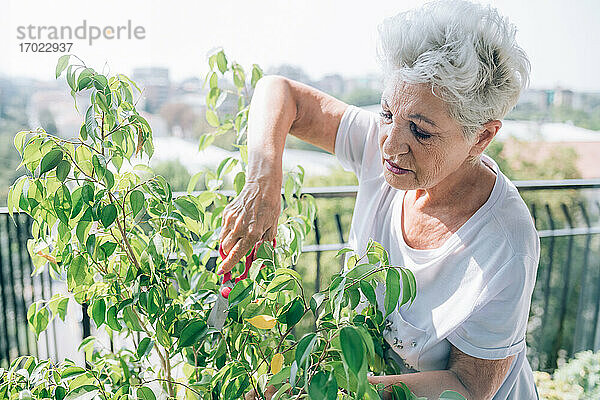 Frau bei der Gartenarbeit auf ihrem Balkon