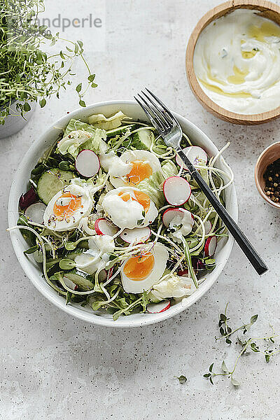 Salat mit Gurken  Rettichsprossen  Eiern und Joghurtdressing