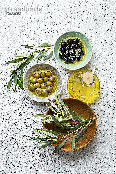 Grüne und schwarze Oliven  Olivenöl und Olivenzweige