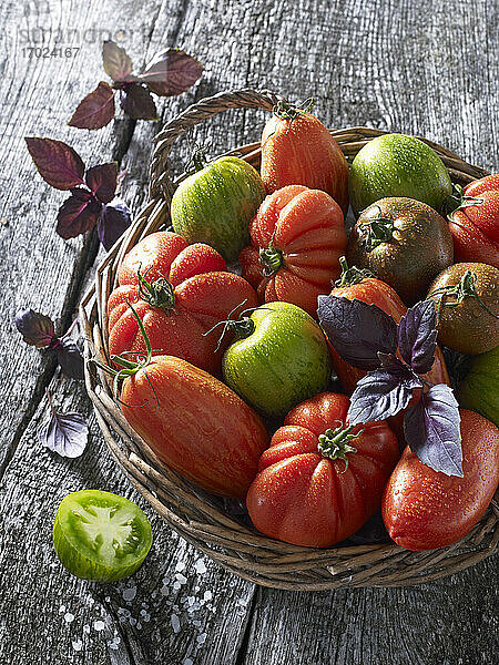 Verschiedene Tomatensorten mit Basilikum im Weidenkorb