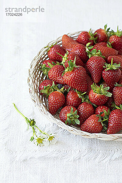 Frische Erdbeeren in einem Körbchen