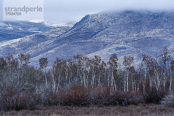 USA  Idaho  Bellevue  Landschaft mit Wald und verschneiten Hügeln