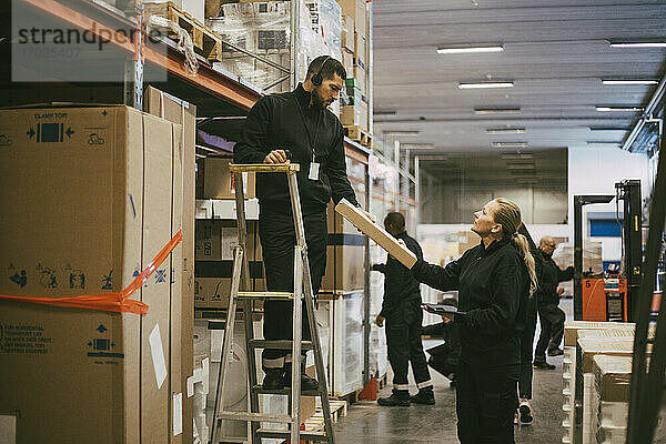 Männlicher und weiblicher Mitarbeiter halten Paket im Logistiklager