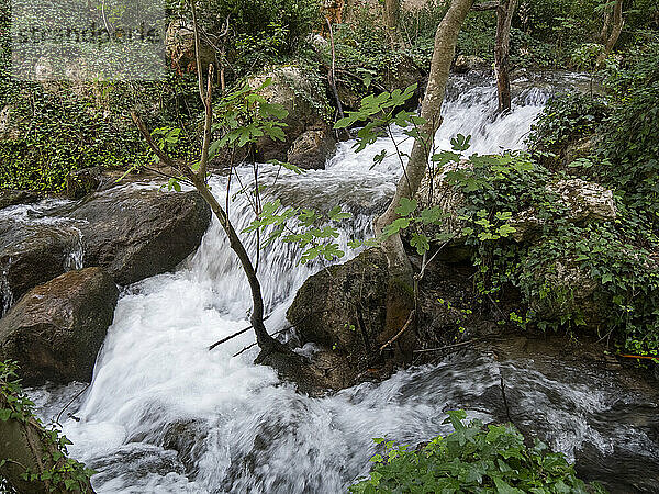 Quelle des Flusses Sagittario  Gole del Sagittario  Schluchten des Sagittario  Regionales Naturschutzgebiet  Anversa degli Abruzzi  Abruzzen  Italien