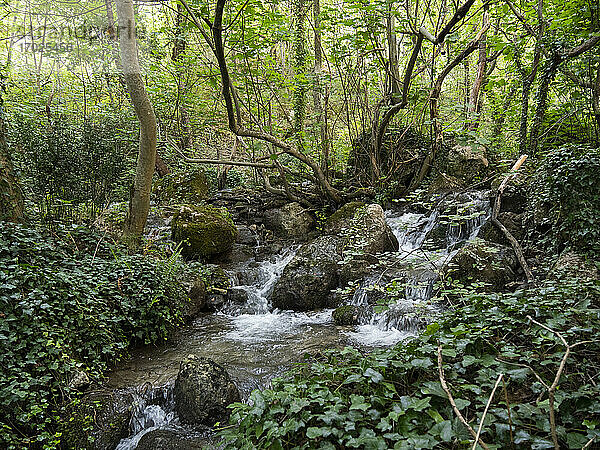 Quelle des Flusses Sagittario  Gole del Sagittario  Schluchten des Sagittario  Regionales Naturschutzgebiet  Anversa degli Abruzzi  Abruzzen  Italien