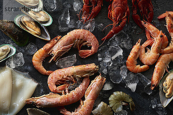 Seafood-Stillleben: Flusskrebse  Shrimps  Grünlippmuscheln und Tintenfisch