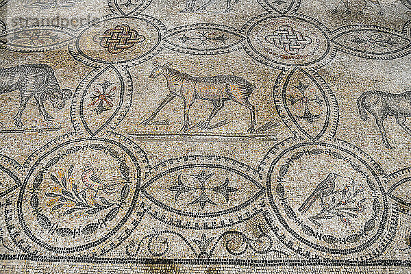 Innenraum des Doms mit dem Mosaikpflaster  UNESCO-Weltkulturerbe  Aquileia  Udine  Friaul-Julisch Venetien  Italien  Europa