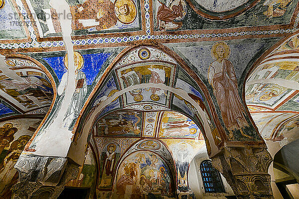 Bunte Krypta der Fresken  UNESCO-Weltkulturerbe  Aquileia  Udine  Friaul-Julisch Venetien  Italien  Europa