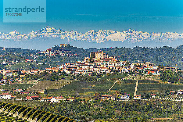 Weinberge mit den Alpen im Hintergrund  Weinregion Barolo  UNESCO-Weltkulturerbe  Piemont  Italien  Europa