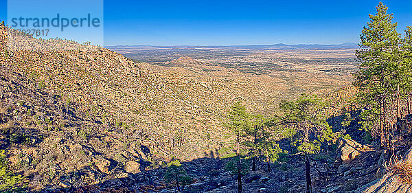 Nordansicht vom Sattel des Granite Mountain im Prescott National Forest f Arizona  Vereinigte Staaten von Amerika  Nordamerika