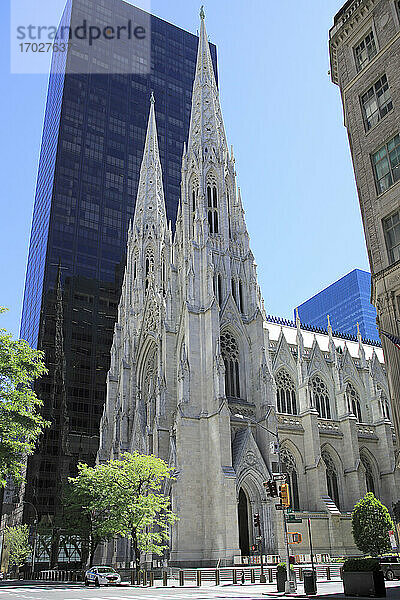 St. Patrick's Cathedral  5th Avenue  Midtown  Manhattan  New York City  New York  Vereinigte Staaten von Amerika  Nordamerika