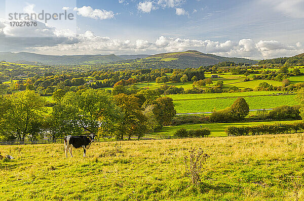 Blick auf Hope Valley und Landschaft Herbstfarben  Derbyshire Peak District  Derbyshire  England  Vereinigtes Königreich  Europa