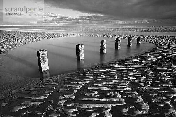 Verrottende Holzpfosten eines alten Seedeichs am Strand von Winchelsea bei Ebbe  Winchelsea  East Sussex  England  Vereinigtes Königreich  Europa