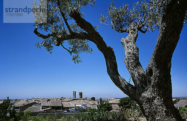 Spanien  Katalonien  Region Urgell  Provinz Lleida  Verdu. Gesamtansicht des Dorfes. Im Vordergrund ein Olivenbaum.