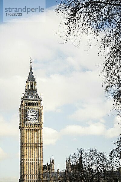 Big Ben (Elizabeth Tower)  Houses of Parliament  Westminster  London  England