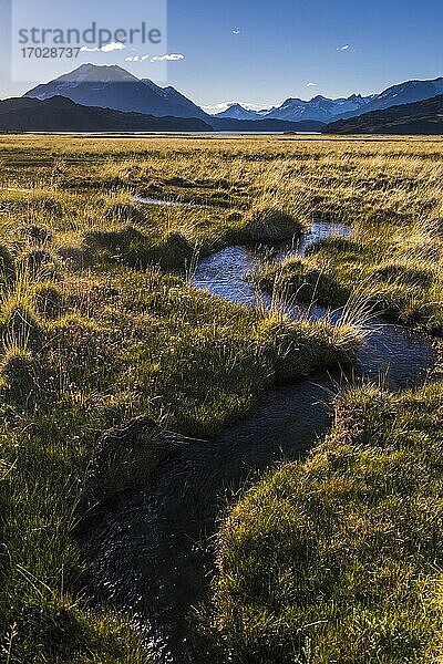 Andengebirge  gesehen vom Sumpfland im Perito-Moreno-Nationalpark (Parque Nacional Perito Moreno)  Provinz Santa Cruz  Argentinisches Patagonien  Argentinien
