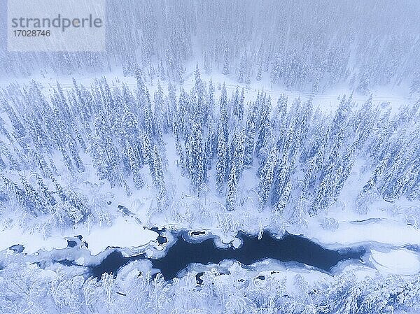 Aerial von gefrorenen Fluss und schneebedeckten Wald Winterlandschaft zeigt erstaunliche Lappland Landschaft in Skandinavien in Finnland Drohne