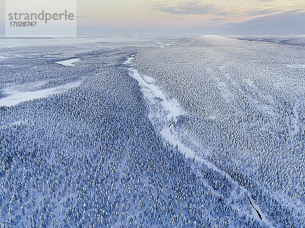 Luftaufnahme eines schneebedeckten Winterwaldes voller Bäume bei Sonnenuntergang am Polarkreis in Finnisch-Lappland  Finnland Drohne