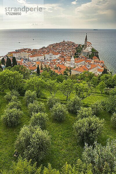 Piran und das Adriatische Meer an der Mittelmeerküste  von der Stadtmauer von Piran aus gesehen  Slowenisch-Istrien  Slowenien  Europa