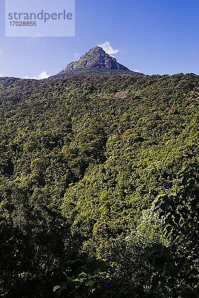 2243 m hoher Gipfel des Adam's Peak (Sri Pada) im zentralen Hochland von Sri Lanka  Asien