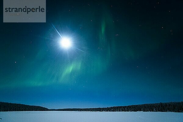 Aurora Borealis alias Nordlicht  Pallas-Yllästunturi-Nationalpark  Lappland  Finnland