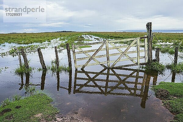 Sumpfgebiet auf der Estancia San Juan de Poriahu  Ibera Feuchtgebiete  Provinz Corrientes  Argentinien