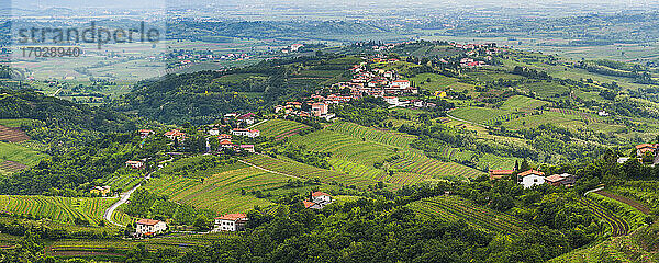 Kozana umgeben von Weinbergen in Goriska Brda (Gorizia Hills)  in Brda  der Weinregion von Slowenien  Europa