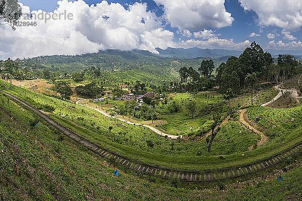 Haputale  Eisenbahnlinie durch Teeplantagen auf einem Teeanbaugebiet im Bergland von Sri Lanka  Bezirk Nuwara Eliya  Asien