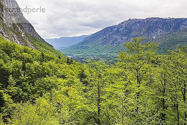 Bohinjer Becken  gesehen bei der Wanderung zum Savica-Wasserfall  Triglav-Nationalpark  Julische Alpen  Slowenien  Europa