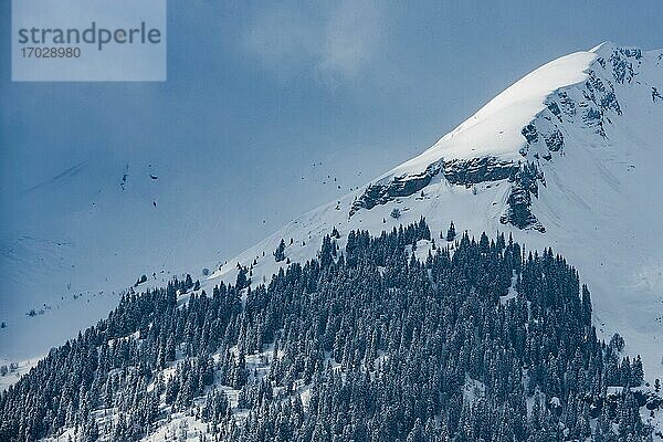 Winterlandschaft  Skigebiet Avoriaz  Port du Soleil  Auvergne Rhone Alpes  Alpen  Frankreich