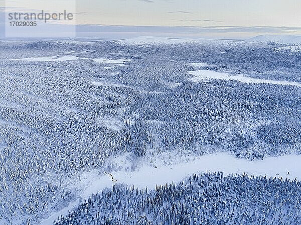Aerial von gefrorenen Fluss und schneebedeckten Wald Winterlandschaft zeigt erstaunliche Lappland Landschaft in Skandinavien in Finnland Drohne