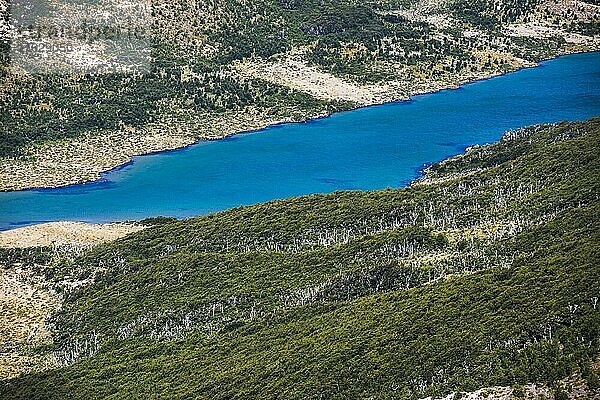 Madre-See (Lago Madre) und alpine Waldlandschaft im Nationalpark Los Glaciares  El Chalten  Patagonien  Argentinien