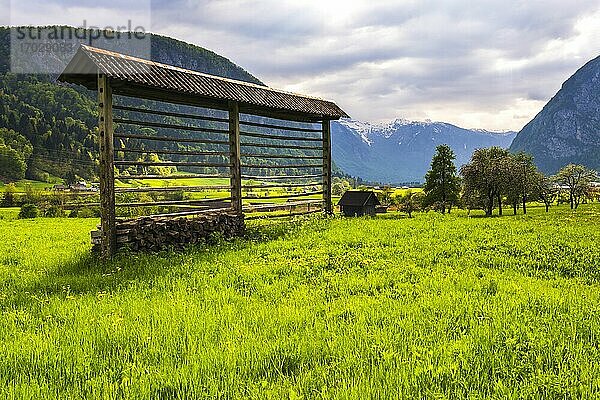 Typische slowenische Landschaft zwischen dem Bleder See und dem Bohinjer See  Triglav-Nationalpark  Julische Alpen  Slowenien  Europa