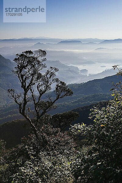 Nebliger Blick auf die Berge beim Aufstieg zum Adam's Peak (Sri Pada) im zentralen Hochland von Sri Lanka  Asien