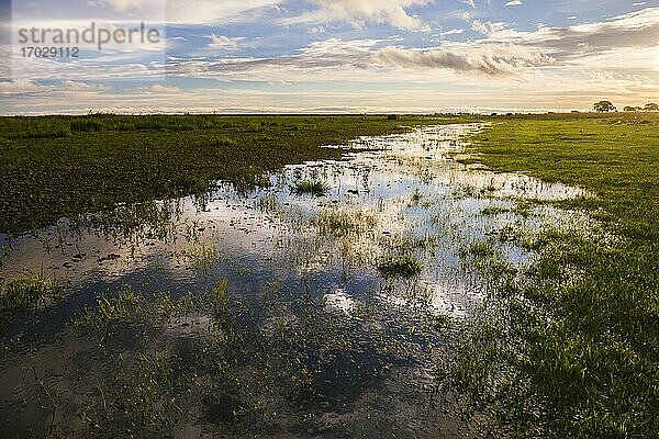 Estancia San Juan de Poriahu  Ibera Wetlands  ein Sumpfgebiet in der Provinz Corrientes  Argentinien
