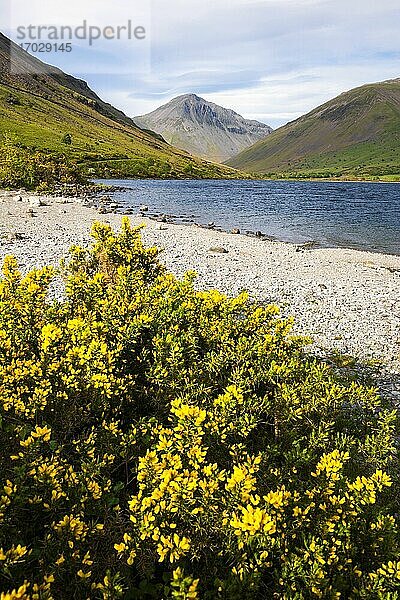 Wastwater (Wast Water)  ein See im Wasdale Valley  Lake District  Cumbria  England