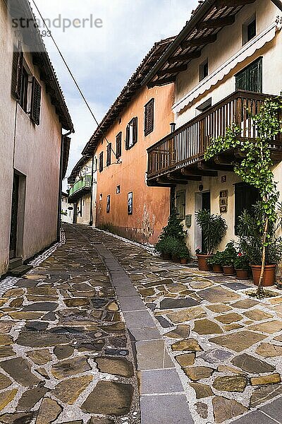 Smartno  Goriska Brda (Gorizia Hills)  in Brda  der Weinregion von Slowenien  Europa