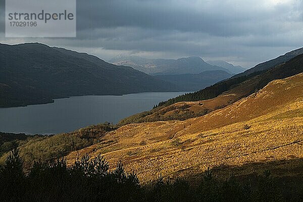 Loch Lomond im Trossachs-Nationalpark  Schottische Highlands  Schottland