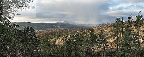 Landschaft auf der Wanderung zu den Falls of Bruar  Blair Atholl  Perthshire  Highlands of Scotland